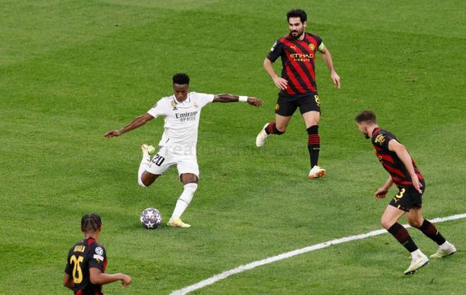 提供了宝贵 提供了宝贵